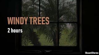 Windy Thunderstorm Trees Blowing  - 2 Hours Rain Sounds for Sleep Study & Relaxation