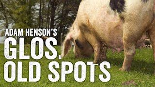 The Champagne Of The Pork World... Heres Why - Adam Henson