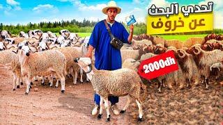 اليوم من سوق تيط مليل جهة دار البيضاء تحدي البحث عن خروف ب2000dhمع أثمنة شوفو شكون غدي يعيد به