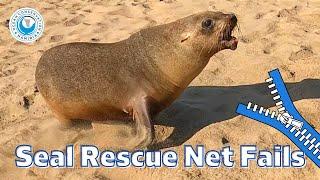 Seal Rescue Net Fails