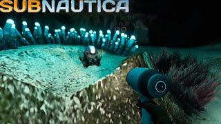 Subnautica How to find the Cuddlefish egg in the Northeastern Mushroom Forest