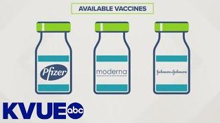 A plant-based vaccine is in the works  KVUE