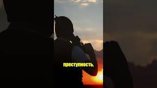 Обращение европейца к беларусам #short #shorts #belpol #беларусь