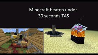 Minecraft TAS World Record in 29.1    1.16.1 any%