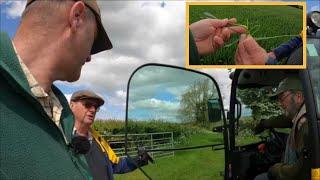 150523  Silage season is almost here and a look at our wheat crop with Reg.
