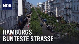 Boulevard der Gegensätze - Hamburgs Steindamm  die nordstory  NDR Doku