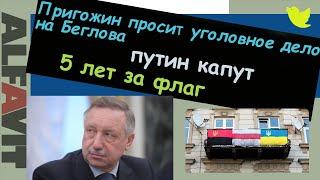 Пригожин просит завести дело на Беглова  путин капут  Ирак жил лучше при Хусейне  ALFAVIT