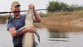 Fishing for Alligators Catch Clean Cook Alligator