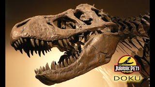 Als die Dinosaurier die Welt beherrschten 12 Dino-Revolution in Afrika  Dokumentation