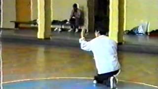 Master Wen-Ching Wu - Xingyiquan - Twelve Animals Form