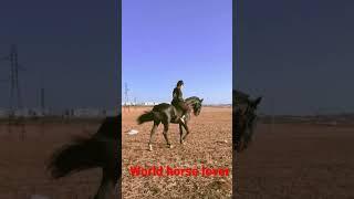 Beautiful cruel Girl horse riding. #horsegirl #ghoda #horse #horses #horselover #ghodi #horseracing