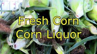 Fresh Corn Corn  Liquor   part 1 the Mash