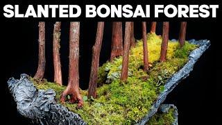 How To Make A Slanted Bonsai Forest