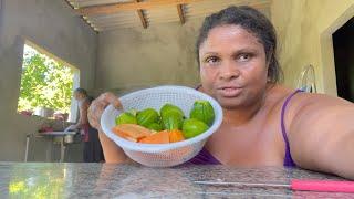 MINHA ROTINA SIMPLES NA ROÇAFIIZ MOCOTÓ NO ALMOÇO  MUITA BAGUNÇA LAVEI ROUPA