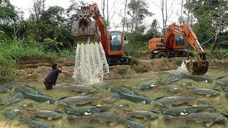 Fishing Exciting Use Large Excavator - Catch Many Fish At Wild Lake Use Large Excavator