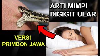 9 Arti Mimpi DIGIGIT ULAR Menurut Primbon Jawa Hati-hati