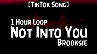 Brooksie - Not Into You {1 Hour Loop}dude shes just not into you