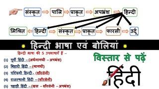 48.हिंदी भाषा की बोलियाँ Hindi bhasa evm Boliya उपभाषाएं Study91 Nitin Sir