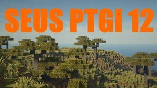 Minecraft - Seus Ptgi 3.0 Benchmark gtx 1080 16gb ryzen 7 5800x @ 1080p