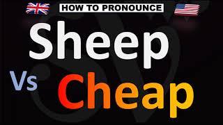How to Pronounce SHEEP vs. CHEAP