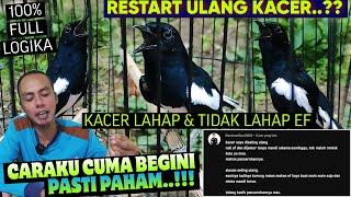 SELAMA INI CUMA INI YANG BIKIN JLEB ‼️ PASTI PAHAM  Cara Merawat Kacer