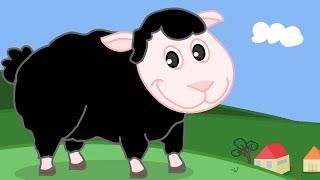 BAA BAA BLACK SHEEP Childrens Song with Lyrics