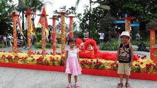 Lion Dance at Sentosa Chinese New Year 2015