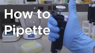 How to Micropipette  miniPCR bio™