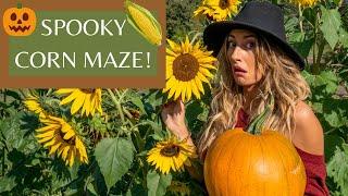 The Spooky Corn Maze  Creepy Halloween  Comedy Sketch