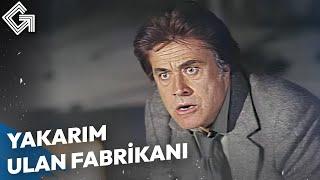 Bir Babanın Yapamayacağı Şey Yok  Eski Silah Türk Filmi