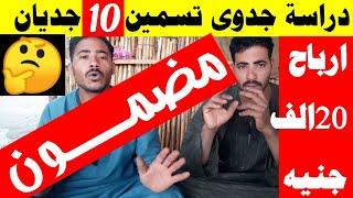 لو بتسمن جديان وعايزها تعمل وزن علي العيد.. هات ورقة وقلم وشوف الفيديو ده دراسة جدوي من الالف للياء