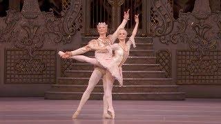 The Nutcracker – Sugar Plum pas de deux Adagio Nuñez Muntagirov The Royal Ballet