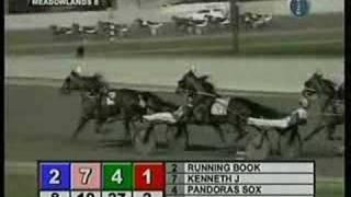 2007 Meadowlands Pace