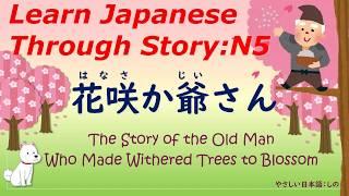 Learn Japanese Through Story N5：花咲か爺さんThe Story of the Old Man Who Made Withered Trees to Blossom