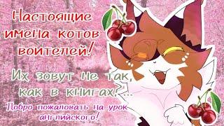 Имена котов воителей в оригинале и почему это интересная тема  #котывоители