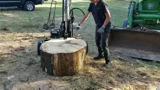 Splitting a 40 piece of oak for firewood