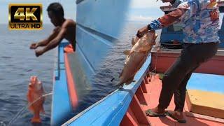 BERKAH BADAI KAKAP MERAH DAN KERAPU PADA KELAPARANMANCING SETELAH BADAI4K