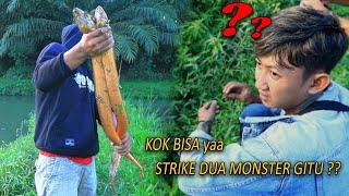 MASIH BELUM PERCAYA KALAU DIA BISA STRIKE DUA BELUT MONSTER