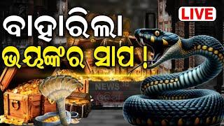 Ratna Bhandar Live ଖୋଲିଲା ରତ୍ନଭଣ୍ଡାର  Puri Srimandir Ratna Bhandar  Jagannath Temple  Odia News