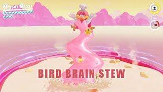 Luncheon Kingdom bird boss - Super Mario Odyssey - Cookatiel boss