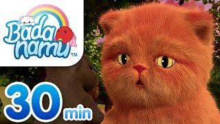 Cat Lovers Compilation l Nursery Rhymes & Kids Songs