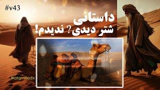 شتر دیدی؟ ندیدم  میلاداحمدی