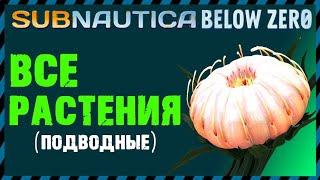 Subnautica Below Zero ВСЕ РАСТЕНИЯ подводные