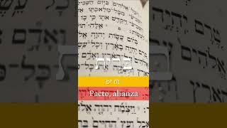 21. Pacto alianza en hebreo bíblico #בְּרׅית #Pacto #Alianza #HebreoBíblico #biblicalhebrew