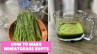 Wheatgrass Shots Using the Angel Juicer for Fibroids PCOS Endometriosis Ovarian Cysts etc.