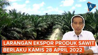 Jokowi Larang Ekspor Bahan Baku Minyak Goreng dan Produk Minyak Goreng