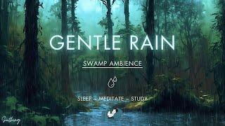 Gentle Rain Over Swamp  NO ADS  Soothing Gentle Rain Sounds For Sleeping