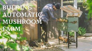 Building our Vertical Automatic Mushroom Farm in a Raised Planter for Small Backyard & Balcony