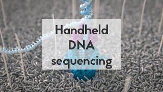 Handheld DNA sequencing with nanopores