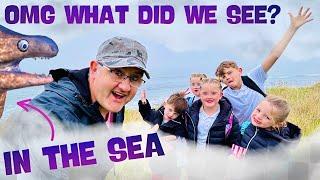 OMG WHAT DID WE SEE IN THE SEA?  FOGGY FRIDAY Big Family Busy Day CATCH UP & DITL